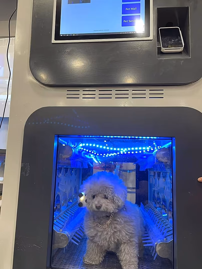 A Woofwoof Lux bemutatott egy kutyamosógépet.