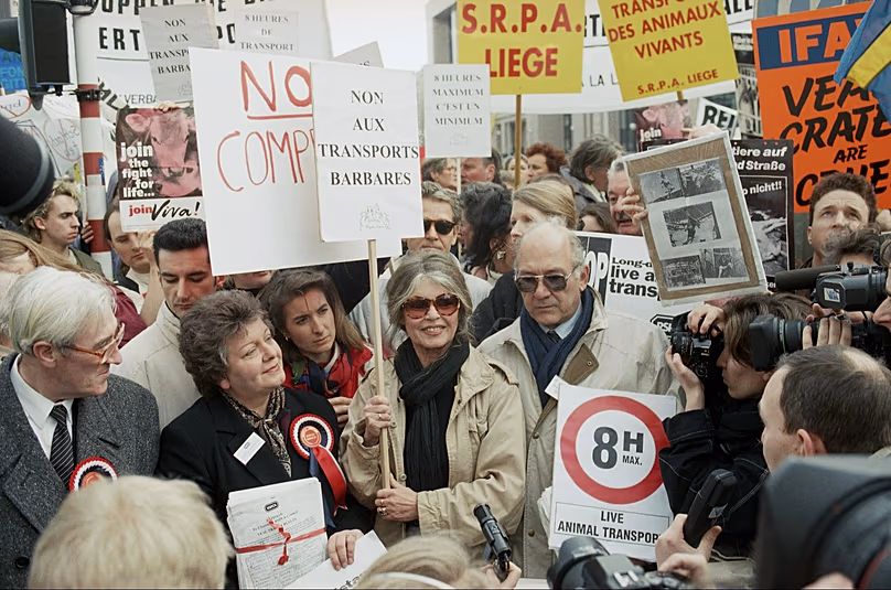 FILE - Brigitte Bardot, központ, állatjogi aktivisták körülvéve, akik az élő állatok szállítása ellen tiltakoznak Brüsszelben, 1995. február 20.