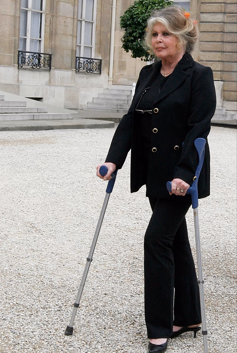 Brigitte Bardot volt színésznő és állatjogi aktivista, miután 2007. szeptember 27-én környezetvédelemmel foglalkozott Nicolas Sarkozy francia elnökkel az Elysee-palotában.