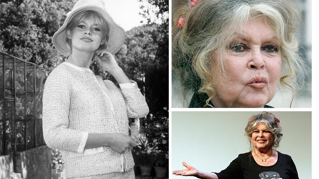 Brigitte Bardot élete képekben: Az 1950-es évek szexszimbólumától a harcos állatvédő aktivistáig