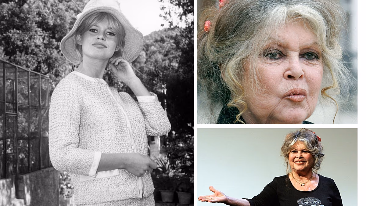Brigitte Bardot élete képekben: Az 1950-es évek szexszimbólumától a harcos állatvédő aktivistáig