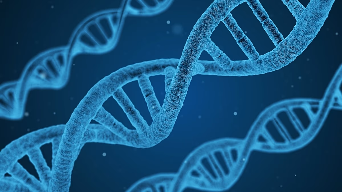 AlphaGenome: A Google új AI-eszköze, amely képes megfejteni és előre jelezni a DNS-változásokat. Hogyan működik?