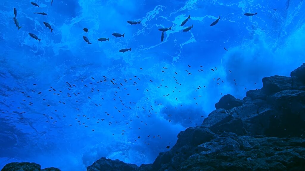 A nyílt tengeri remények találkoznak a kemény valósággal: 2026 a világ óceánjai számára kulcsfontosságú év lesz