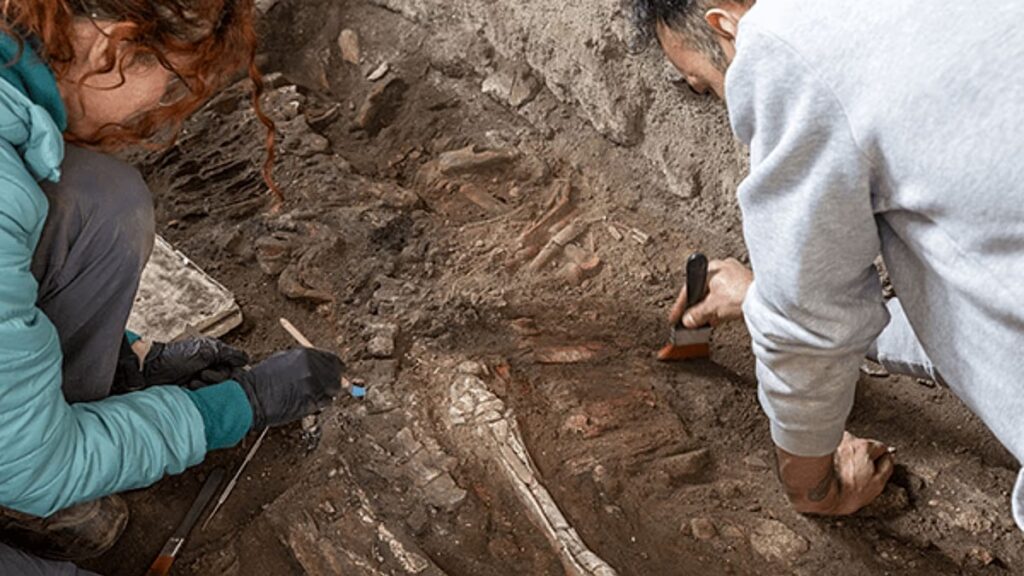 A pompeji ásatások lócsontvázat tártak fel a Szánalmas Szerelmesek Házában